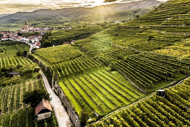 3 Castles & Wine Private Tour in Wachau Valley (incl. Melk Abbey) - Dürnstein, the Pearl of the Wachau: Streets, Photos, and Richard the Lionheart