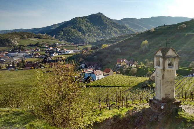3-Hour Private Hiking Tour to historic places around Spitz in Wachau Valley - The Spitz Circular Walk: Terraces, Grapevines, and the Red Gate View
