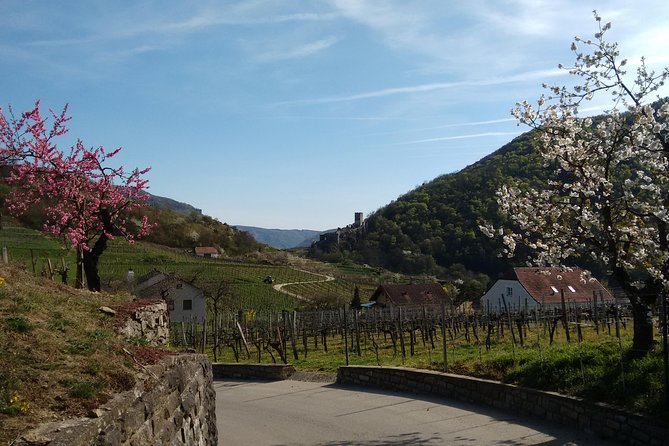 3-Hour Private Hiking Tour to historic places around Spitz in Wachau Valley - The Practical Day Plan: Pickup, Timing, and What 7 Hours Means