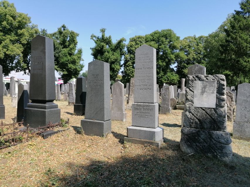 3-Hour Walking Tour of Vienna Central Cemetery - Price and value: why $53 makes sense if you like context
