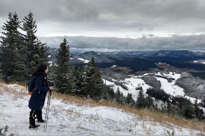 4-Hour Private Alpine Great George at High Wall Mountain from Vienna - Key highlights at a glance