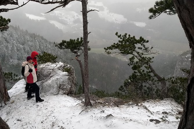 4-Hour Private Alpine Great George at High Wall Mountain from Vienna - Ladders, rungs, and the cave stop that adds flavor