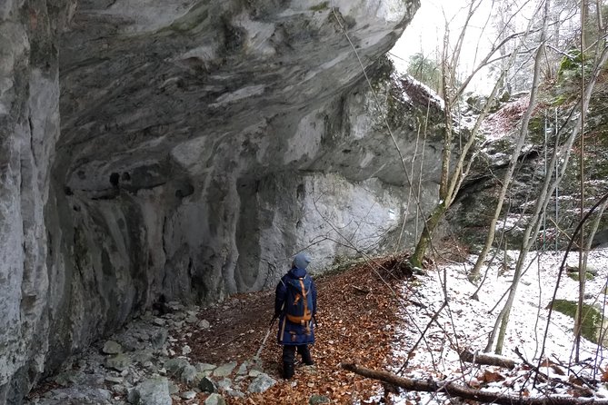 4-Hour Private Alpine Great George at High Wall Mountain from Vienna - Timing and pace: what a 7-hour day really feels like