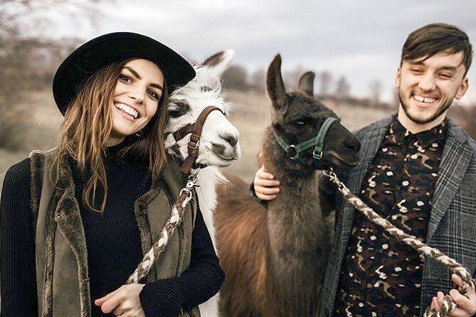 Alpaca and llama hike Moedling near Vienna - What the 2-hour hike feels like in real life