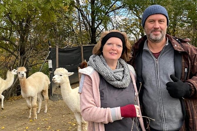 Alpaca and llama hike Moedling near Vienna - You have your own alpacas and llamas, even on a public trail