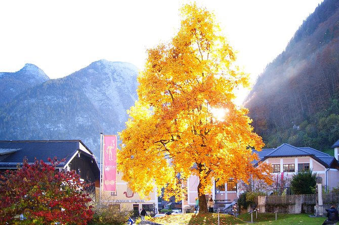 Alpine Hallstatt Day Trip from Vienna incl. Admont Abbey Visit - Hallstatt walking tour: time limits, crowd reality, and what to target