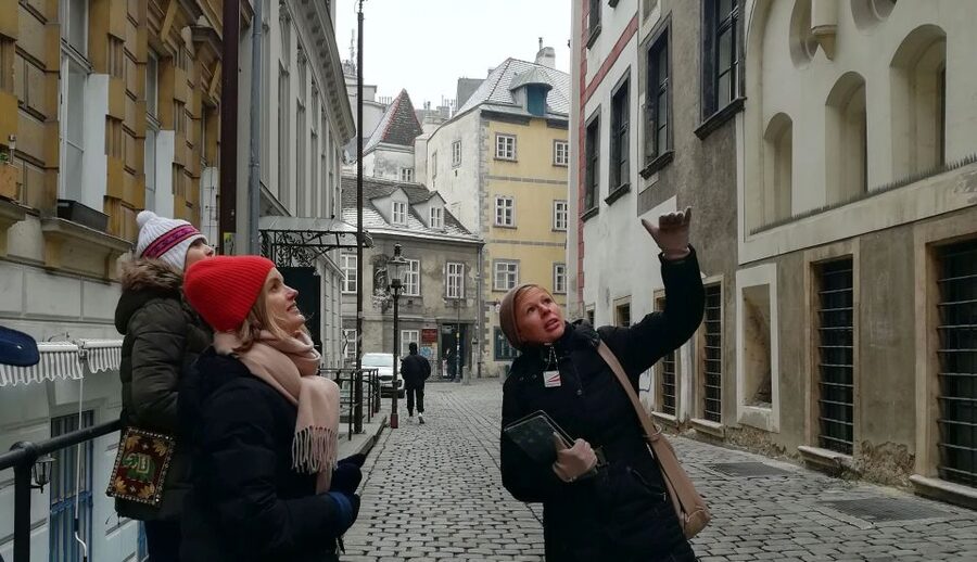 An Introduction to Vienna Walking Tour - Practical Tips to Get the Most From This Gallery Walk