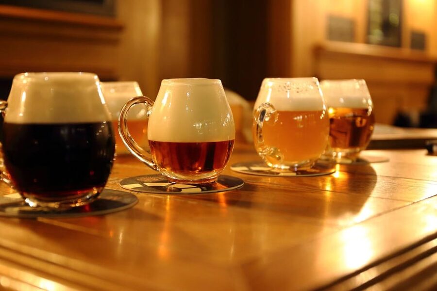 Austrian Beer Tasting and Self-Guided Tour of Vienna - Practical details that will save you time