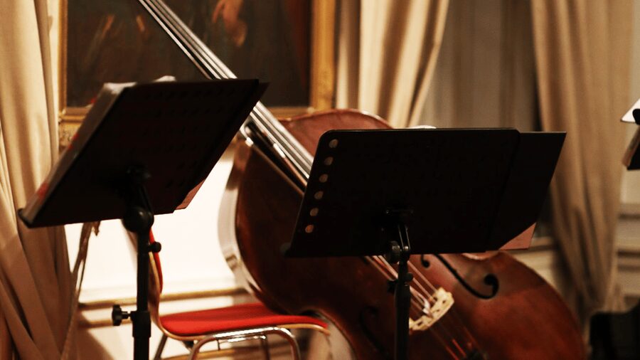 Best of Mozart & Strauss - Mozart and Strauss live in Vienna, built for your evening