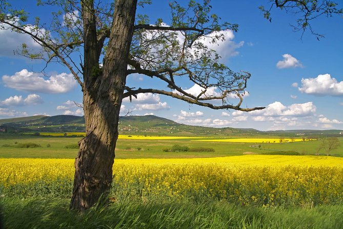 Budapest-Vienna One-Way Sightseeing Transfer - Stop 1: Szentendre’s Old Town in one focused hour