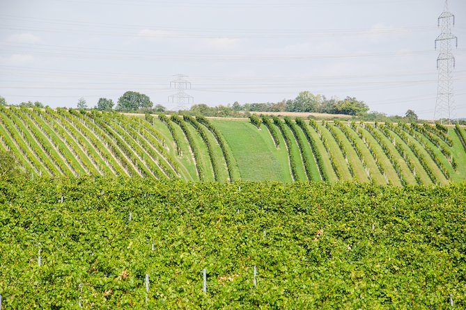 Countryside Half Day Wine Tour near Vienna - Lunch or dinner: the real difference between the short and long versions