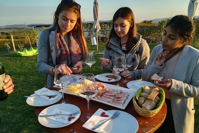 Countryside Half Day Wine Tour near Vienna - Price and value: is about $145 per person fair?