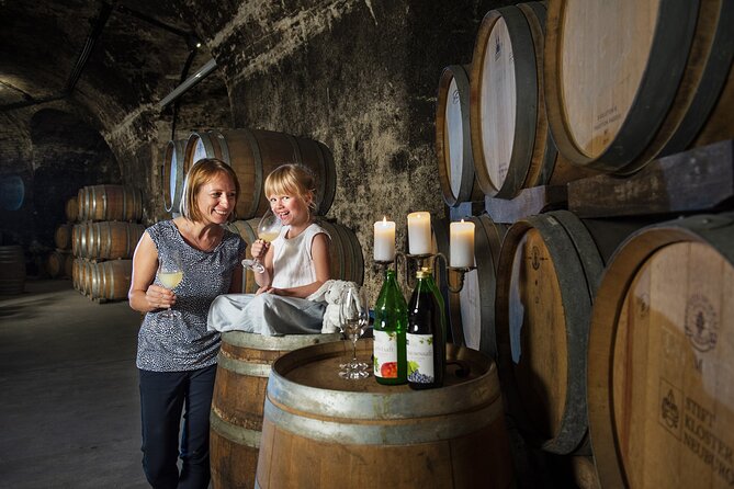 E-Bike Wine Culture Tour - Abbey cellars and the wine-making tour, what you’ll learn