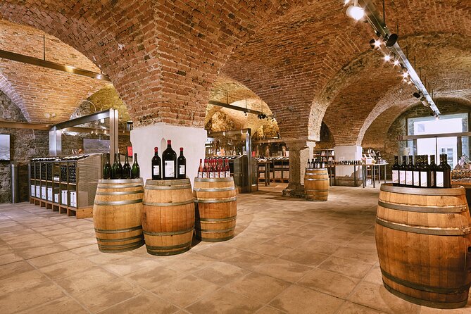 E-Bike Wine Culture Tour - The Danube Island ride back and how to time your energy