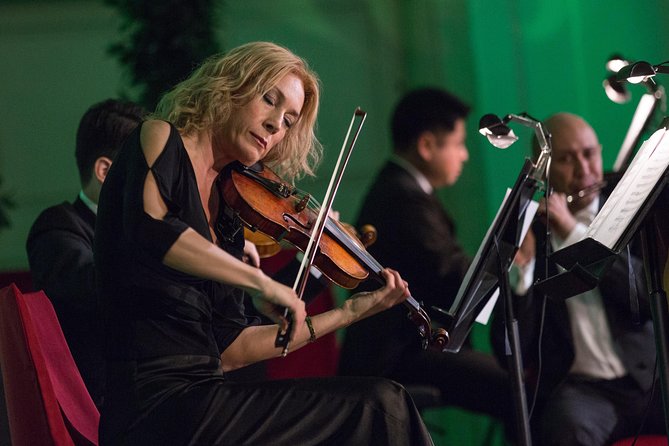 Exclusive Evening at Schönbrunn Palace: After-Hours Audiotour, Dinner, Concert - Who this evening is best for