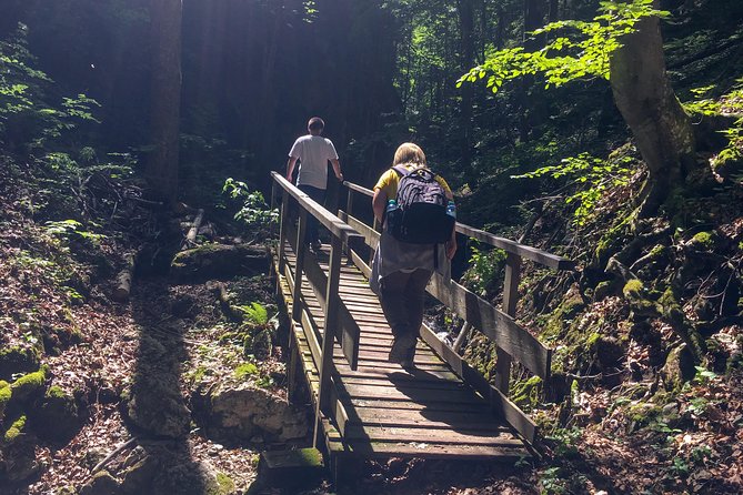 Exploring the Gutenstein Alps - Downhill, back up gently, and the countryside road feeling