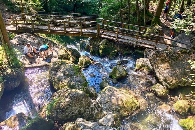 Exploring the Gutenstein Alps - Group size, guide style, and what to expect from the experience