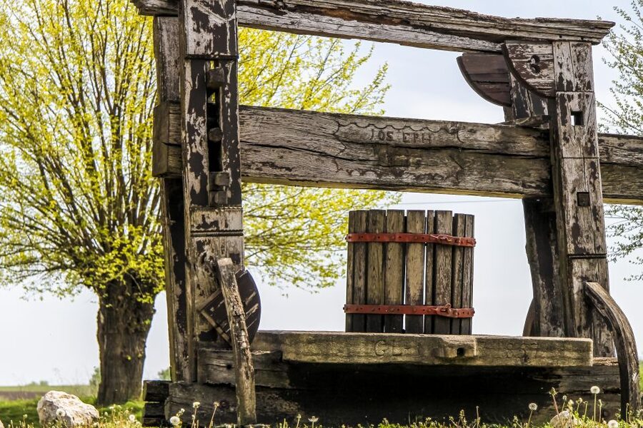 From Vienna: Half-day Countryside Wine Tour with Meal - Who This Tour Fits Best (and Who Should Rethink It)