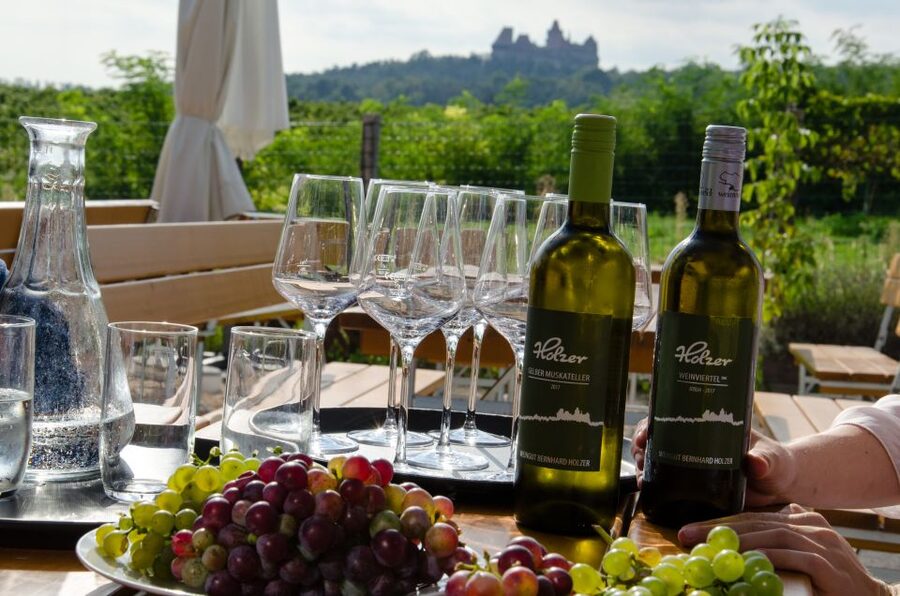 From Vienna: Half-day Countryside Wine Tour with Meal - Inside the Winery Stops: What 2 Wineries vs 3 Wineries Really Means