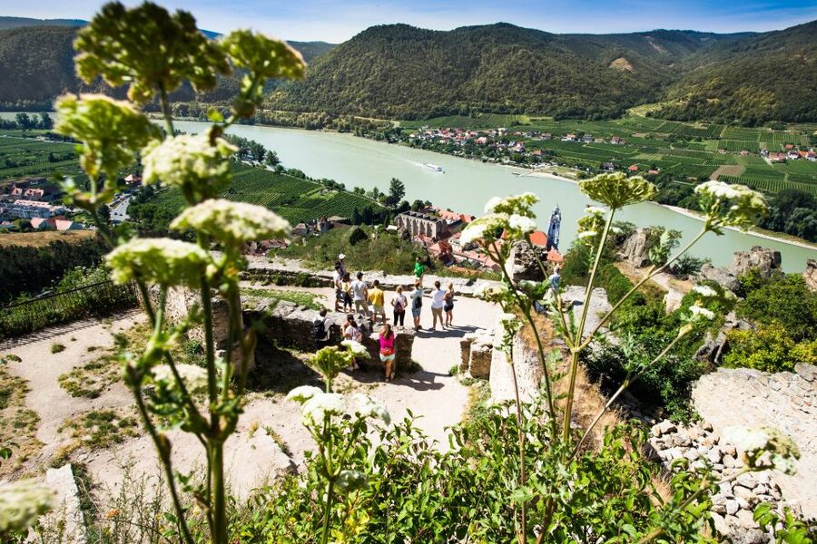 From Vienna: Wachau Valley Day Tour with Wine Tasting - Weißenkirchen lunch stop: where the day resets between tastings