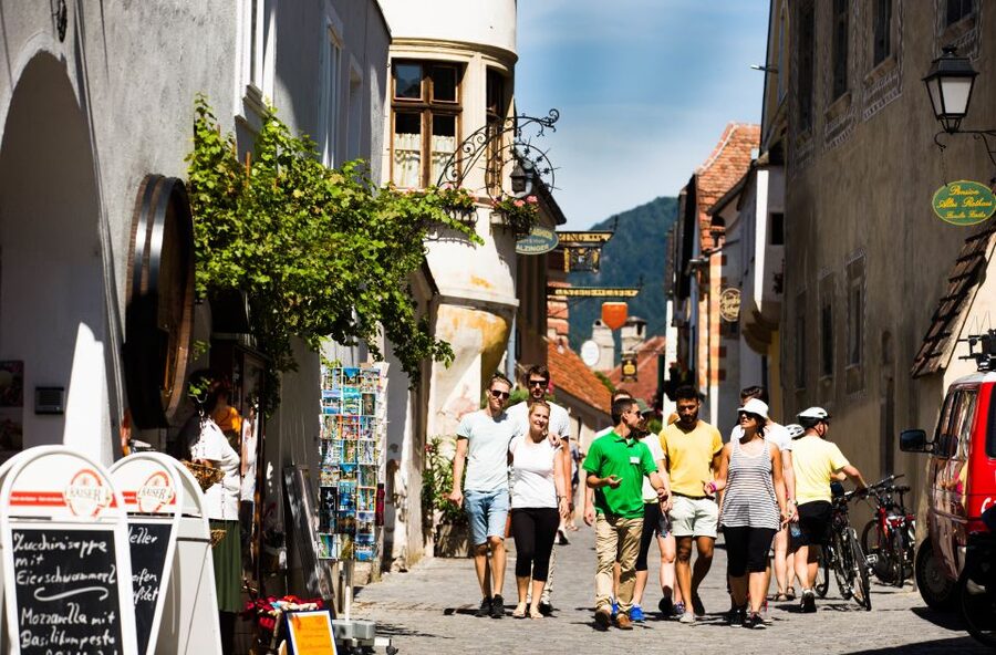 From Vienna: Wachau Valley Day Tour with Wine Tasting - Wine tasting reality check: how to get more from each glass