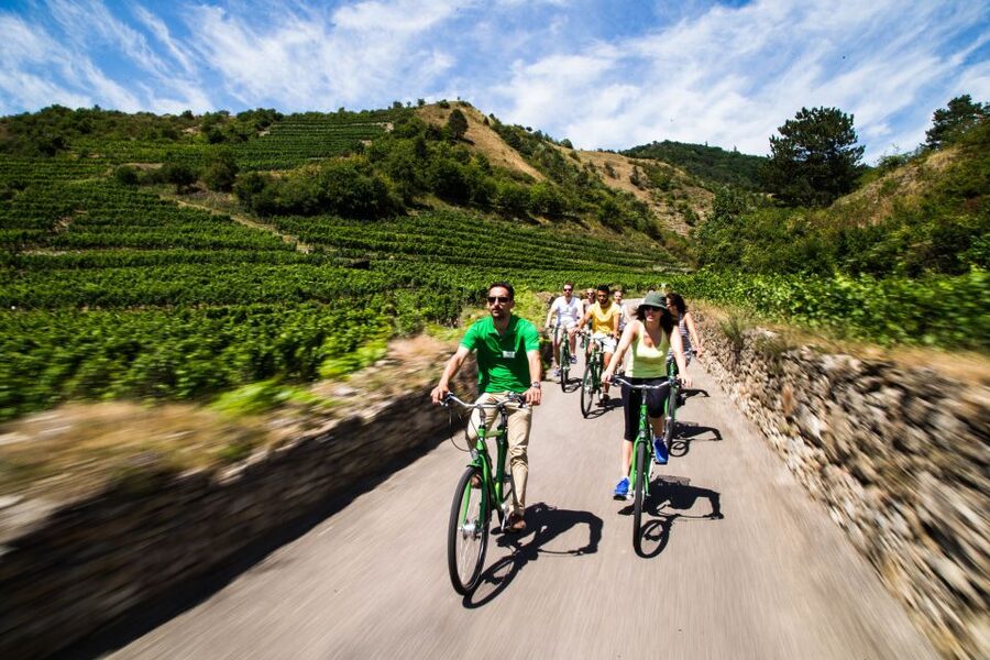Grape Grazing: Wachau Valley Winery Biking Tour - Why biking the Wachau beats a straight wine day