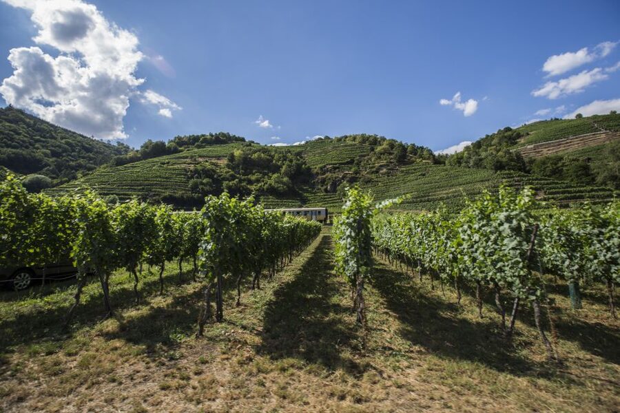 Grape Grazing: Wachau Valley Winery Biking Tour - Krems an der Donau to the first scenery push: your “warm-up” stretch