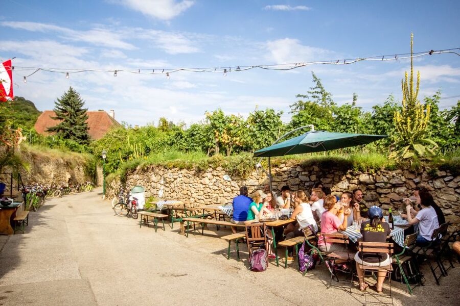 Grape Grazing: Wachau Valley Winery Biking Tour - The Richard the Lionheart castle ruins hike: views are the payoff