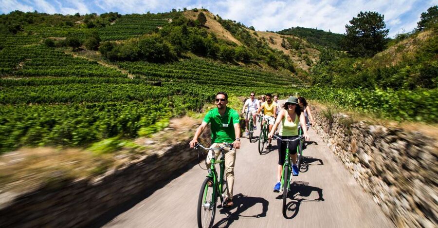 Grape Grazing: Wachau Valley Winery Biking Tour - Vienna Explorer pickup and the train ride into the valley