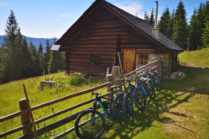 Guided e-bike tour of the alpine pastures in the Salzkammergut - Starting in Gosau at 10:00 am, then riding back on the same day