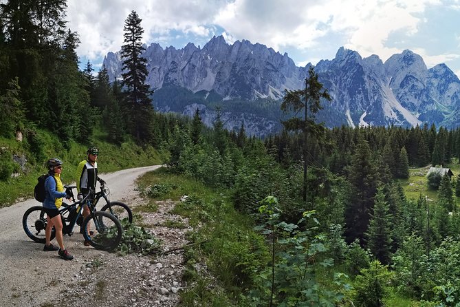 Guided e-bike tour of the alpine pastures in the Salzkammergut - Stop 2: Hallstatt-Dachstein area, plus a cultural check-in along the way