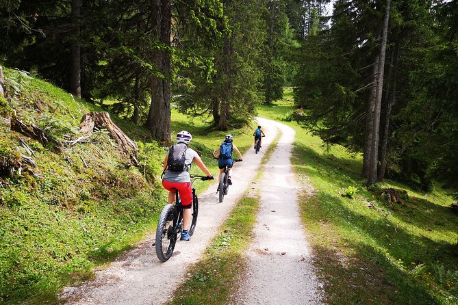 Guided e-bike tour of the alpine pastures in the Salzkammergut - Price and value: what you pay for, and what you’ll likely spend extra on