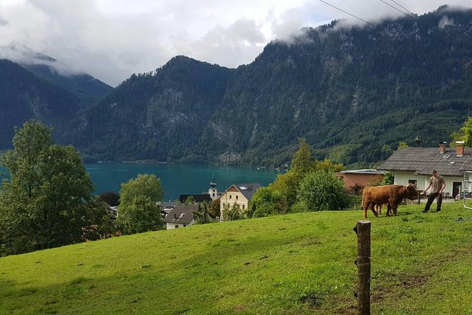 Hallstatt Small-Group Day Trip from Vienna - Food Reality: Bring Your Plan, Not Just Your Appetite
