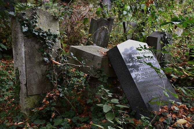 Mobile puzzle rally tour at the Vienna Central Cemetery - Key Highlights at a Glance