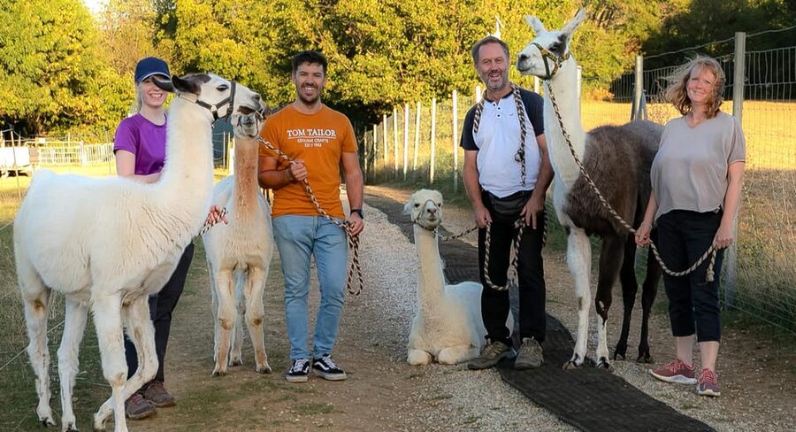 Mödling/Vienna: Scenic Guided Hike with Alpacas and Llamas - The Best Break Moment: Fields, Photo Ops, and Handling Mud