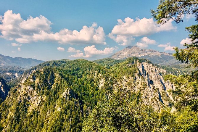 Ötschergräben Grand Canyon of Austria - What’s included, what isn’t, and the real value of $378.54