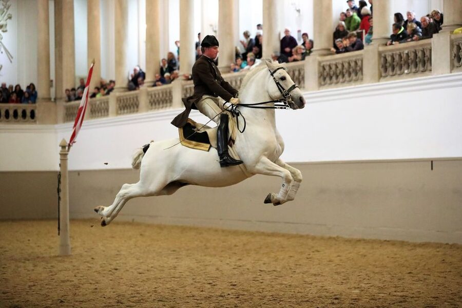 Performance Of The Lipizzans At Spanish Riding School - The baroque Winter Riding School experience in Vienna