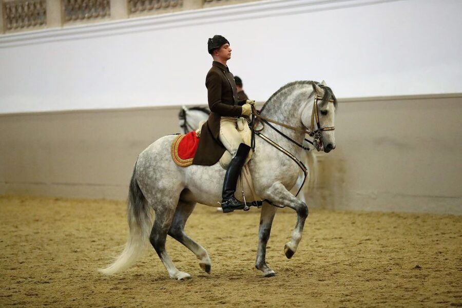 Performance Of The Lipizzans At Spanish Riding School - Lighting, music, and André Heller’s show atmosphere
