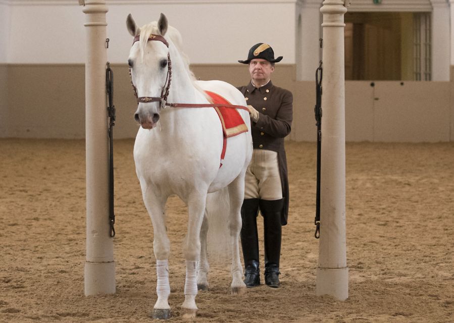 Performance Of The Lipizzans At Spanish Riding School - What you will watch in the High School of Classical Horsemanship