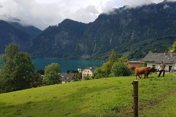 Private Day Trip from Vienna to Hallstatt - Practical tips for a smooth 12-hour Hallstatt day