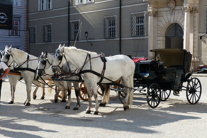 Private full day tour to Salzburg from Vienna with a local guide - Mozart’s birthplace stories and the Salzburg sites you will recognize