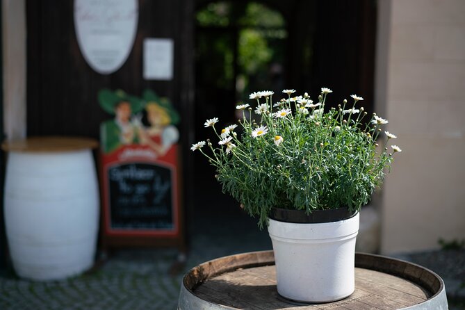 Private Guided Full Day Tour to charming Burgenland region with Wine tasting - How the wine experience is paced (and why that matters)