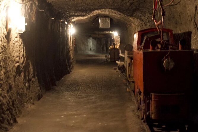 Private guided tour from Vienna to Hallstatt with Skywalk & Salt Mine Experience - What you get included, and what you’ll plan yourself