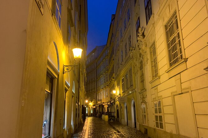 Private Spooky Vienna Ghost Tour - Blood Alley: a narrow passage with a very loud name