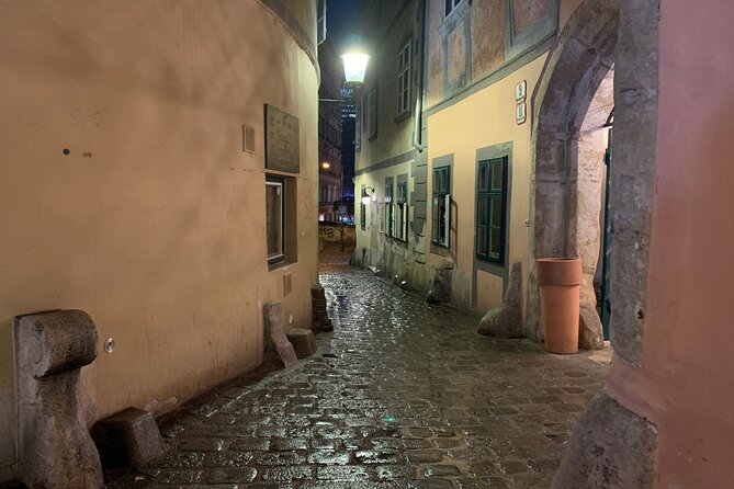 Private Spooky Vienna Ghost Tour - Medieval alley legends, then spooky stories tied to Vienna’s main landmark