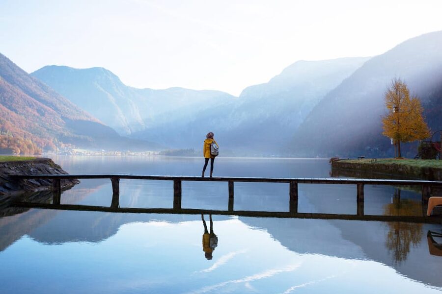 Private tour from Vienna to Hallstatt, Skywalk & Salt Mine - Vienna pickup, vehicle comfort, and the driver role (licensed guide vs shared stories)