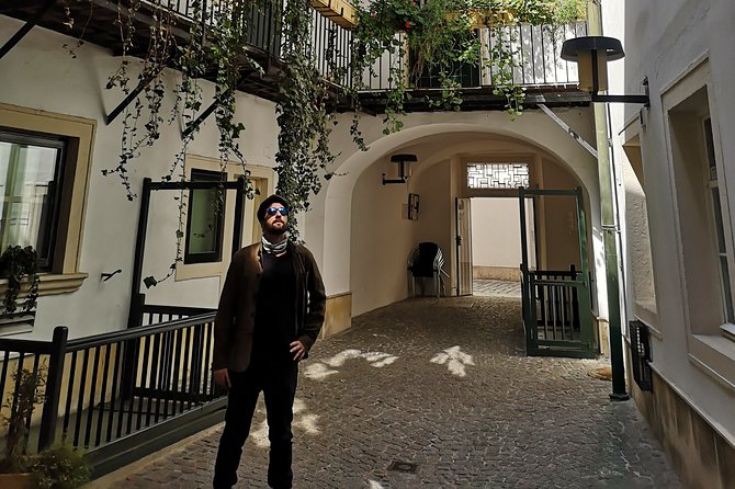 Private tour of historical Vienna with Jan - Historic Center of Vienna: getting your bearings fast