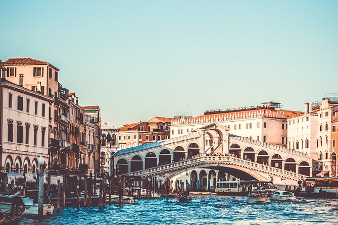 Private Transfer from Venice to Vienna or Vienna to Venice - The driver experience: English fluency plus practical help