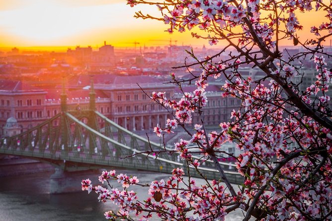 Private Transfer from Vienna to Budapest with 2 hours for sightseeing - A Quick Reality Check on Tickets and Meals