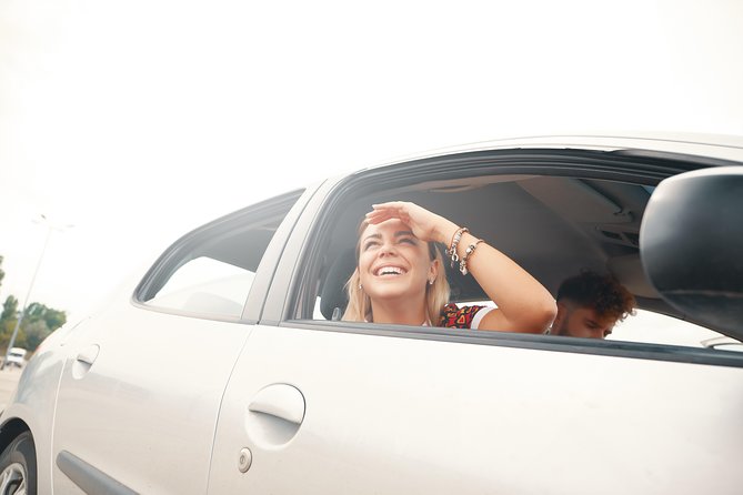 Private Transfer from Vienna to Munich with 2 hours for sightseeing - Private Vienna to Munich With a Real Sightseeing Window